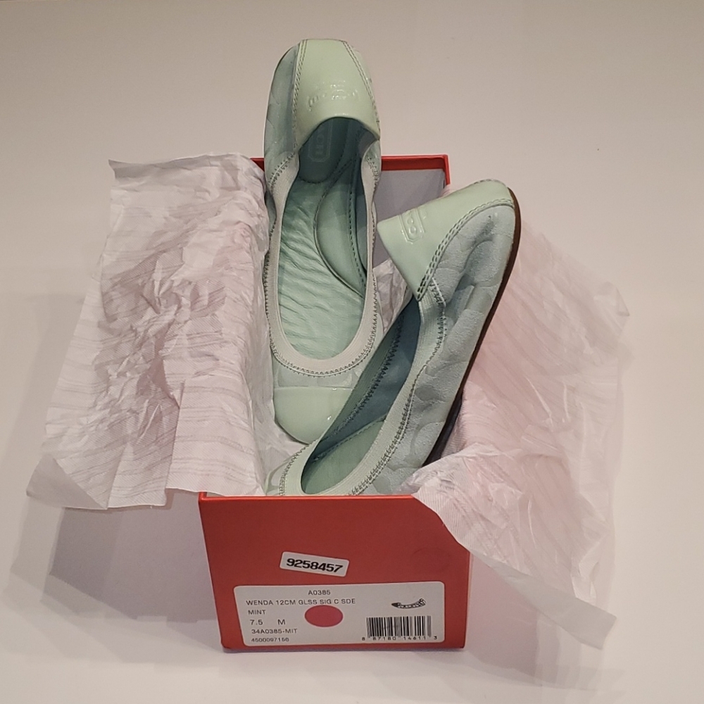 COACH Wenda Sig C Mint Suede Ballet Flats